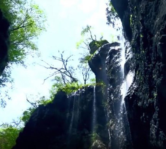 青山綠水，白龍江畔江畔息白鷺，兩岸綠橄欖入眼的都是純樸自然枝上花開(kāi)，春來(lái)水暖魚(yú)蝦戲水，鳥(niǎo)語(yǔ)花香心中充滿(mǎn)著舒暢之感祥宇生態(tài)產(chǎn)業(yè)園，位于隴南市武..
